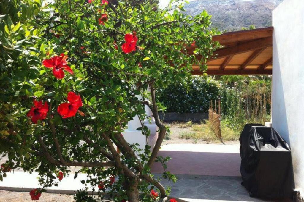 Villa By The Vulcano - 70Mq Plus Large Garden And Patio Exterior foto