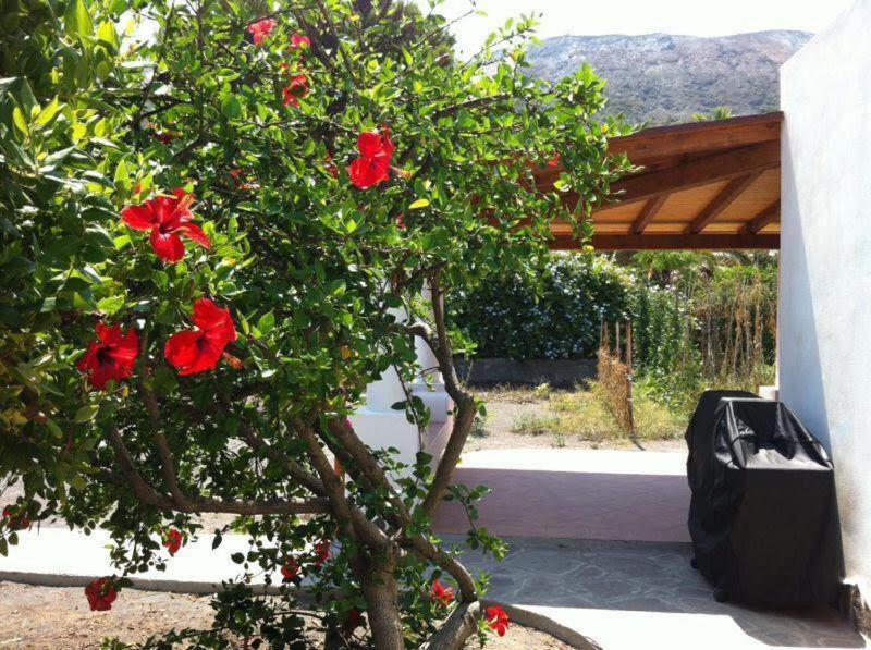 Villa By The Vulcano - 70Mq Plus Large Garden And Patio Exterior foto